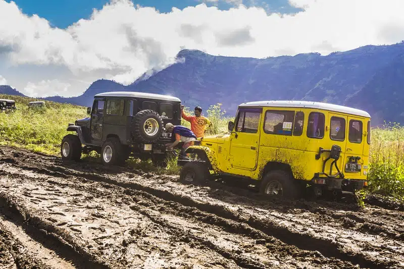 Apa itu Off Road? Cek Arti, Jenis Mobil, dan Tipsnya